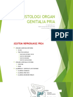 Histologi Organ Genitalia Pria Yandri