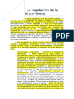 Fisiologia Tema 24 Control de la circulación periférica