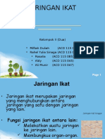 Jaringan Ikat