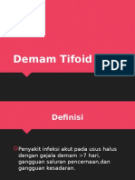 Demam Tifoid