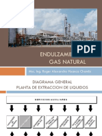 Tema 4 - Endulzamiento Del Gas Natural