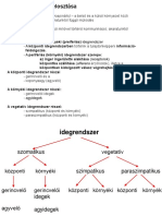 2 ÓRA - Az Idegrendszer Fejlődése És Felosztása PDF
