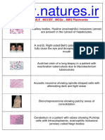 237 Goljan Rapid Review Images Flashcards