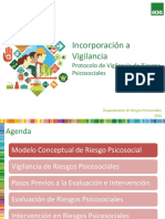 Presentacion Programa Vigilancia ACHS