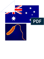 Australian Flag + Cholerae Pics