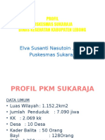 Profil PKM Sukaraja 2014