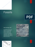 Fossils