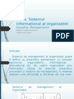 Sistemul Informațional Al Organizației