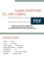 Case HNP Melda