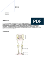 Femur