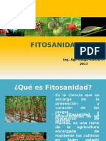 FITOSANIDAD