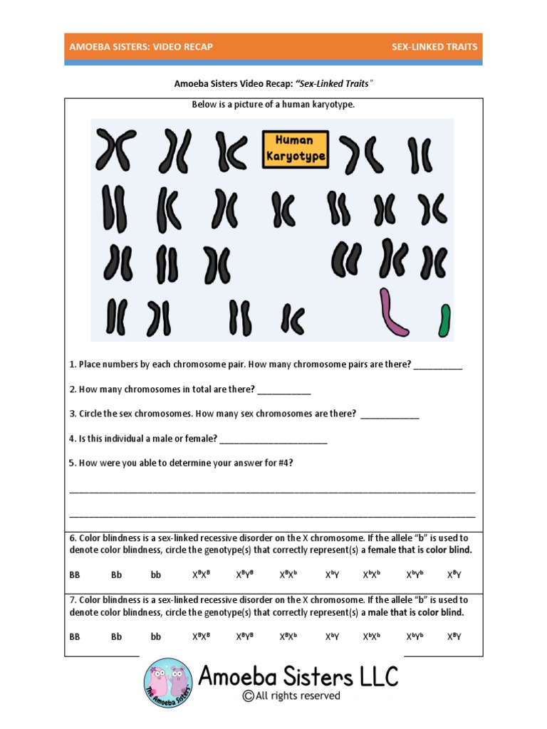 video-recap-of-sex-linked-traits-by-amoeba-sisters-2