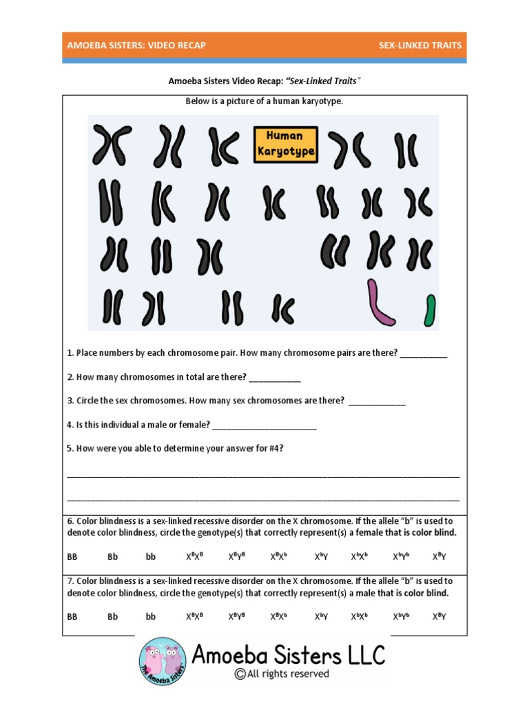 Amoeba Sisters Monohybrid Crosses Worksheet Answer Key
