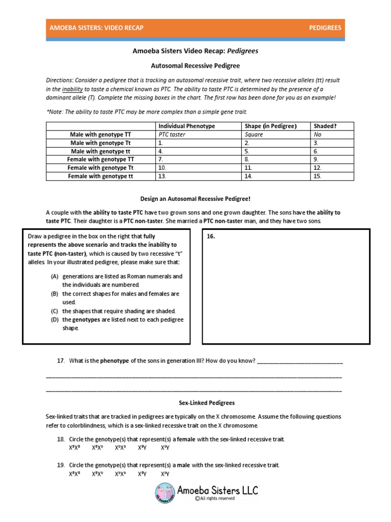 worksheet Pedigrees Worksheet video recap of pedigrees by amoeba sisters dominance genetics genotype