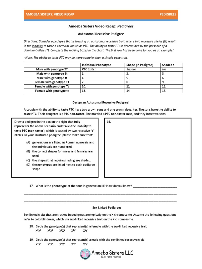 Video Recap Of Pedigrees By Amoeba Sisters Dominance Genetics Genotype
