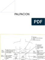 PALPACION (2).pptx