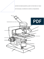 Microscopio óptico: partes y uso