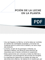 Recepción de La Leche en La Planta