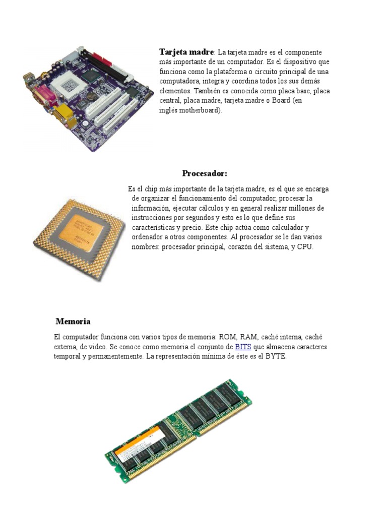 Hardware Interno y Externo Hardware de la computadora