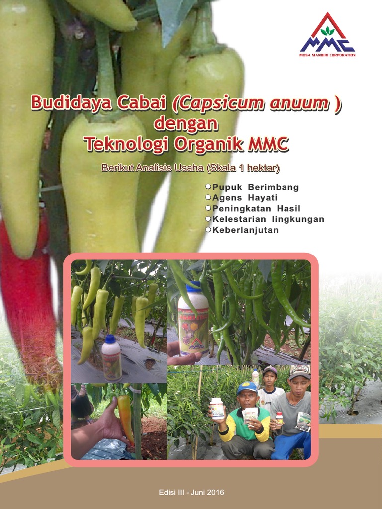  Budidaya Cabai Dengan Teknologi Mmc Edisi III Beserta 