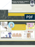 Bolsa Periodontal y Colonizadores Tardios Revisión