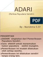 Power Point Sadari