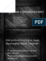 Kelompok 8 - Organ Perkembangbiakan