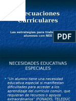 Adecuaciones Curriculares