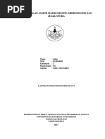 Download LAPORAN PENGENALAN JAMUR MAKROSKOPIS DAN MIKROSKOPIS by safia SN344002552 doc pdf