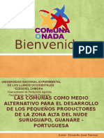 LAS COMUNAS COMO MEDIO ALTERNATIVO PARA EL DESARROLLO DE LOS PEQUEÑOS PRODUCTORES DE LA ZONA ALTA DEL NUDE SURUGUAPO, GUANARE - PORTUGUESA