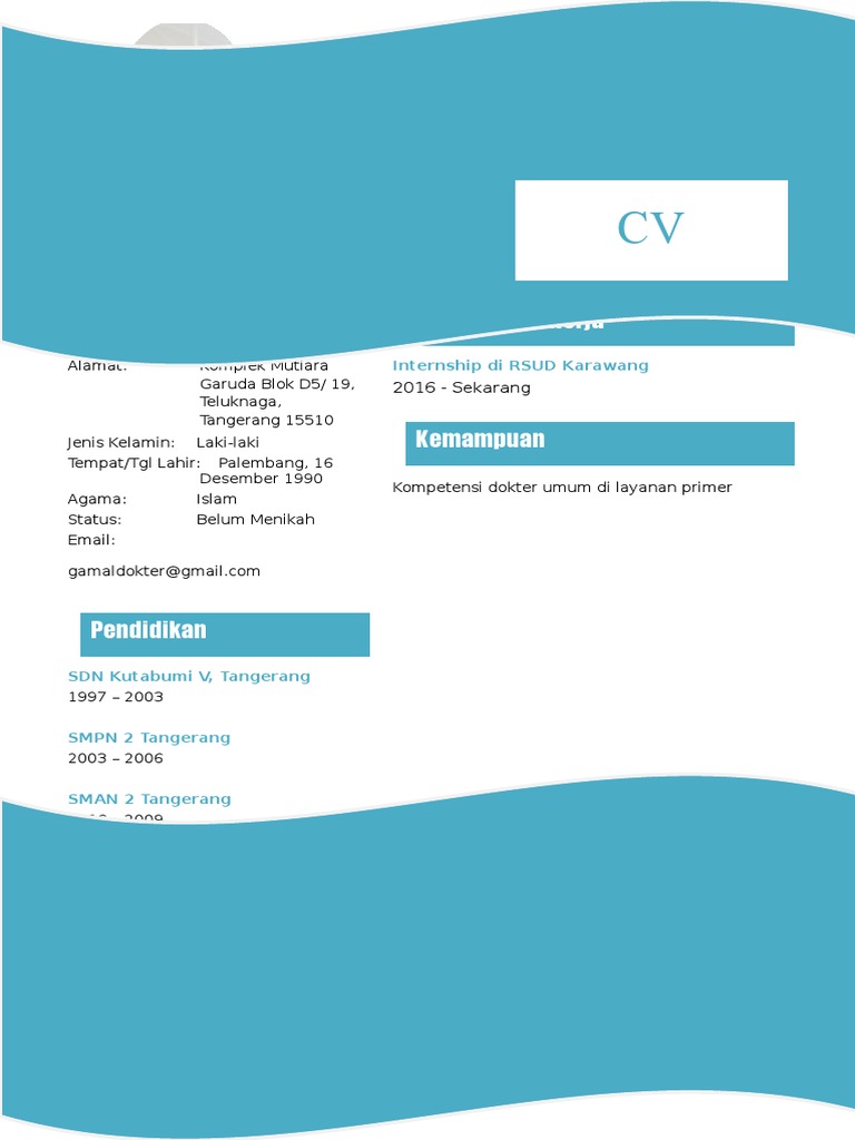 contoh curriculum vitae dokter umum