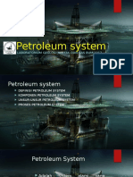 Petroleum System