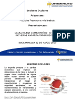 Lesiones Oculares