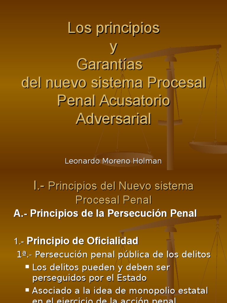 Principios y Garantias en El Proceso Penal | PDF | Procedimiento ...