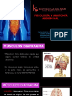 Anatomía Fisio y Semio Abadomen