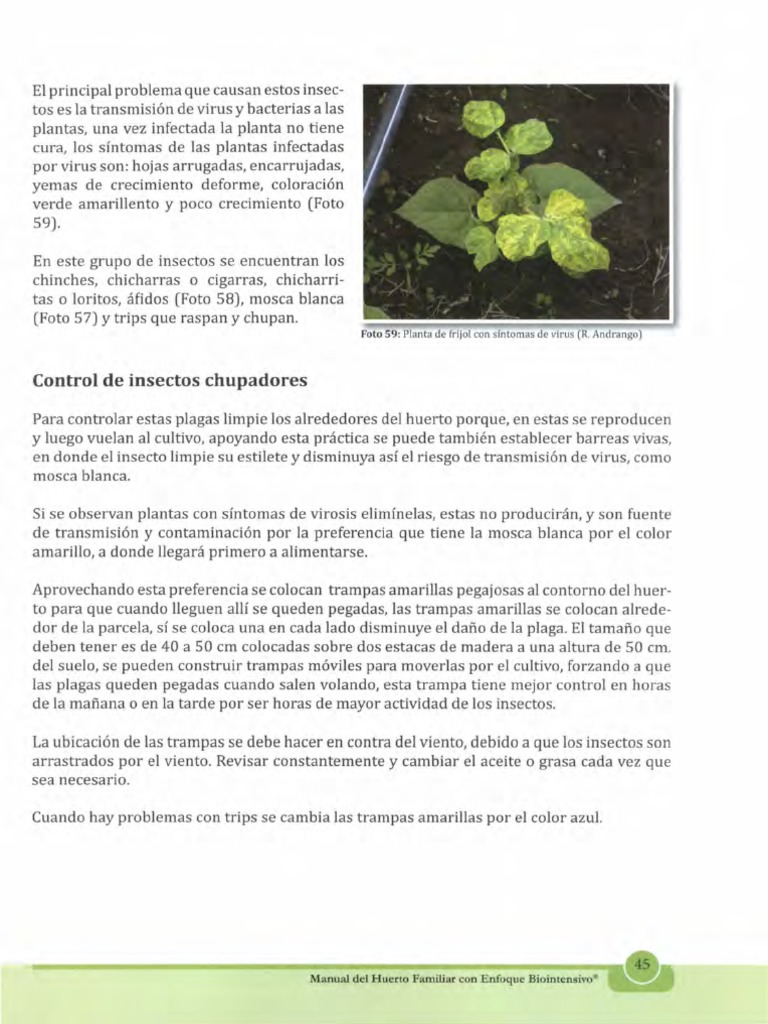 Control de Insectos Chupadores PDF | PDF | Insectos | Jabón