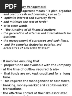 Treasury MGMT Introduction 1