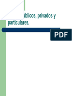Bienes Publicos Privados y Particular PDF