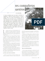 Flores Compañeras de Nuestros Frutales PDF