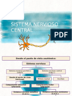 sistema nervioso central ,histología 