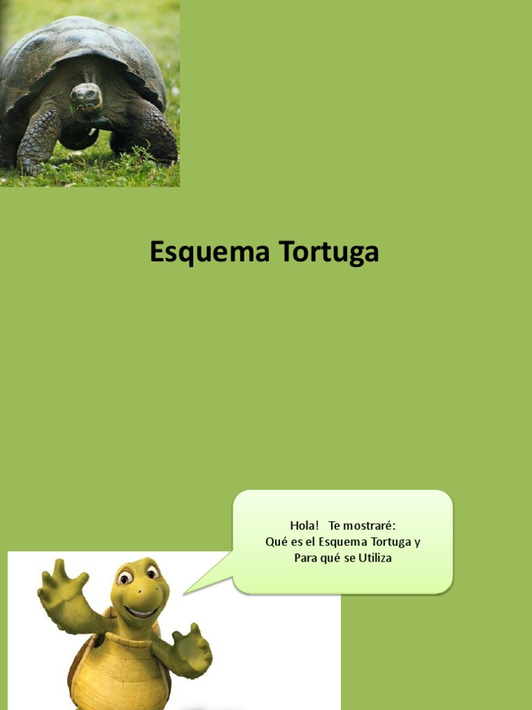 Esquema Tortuga