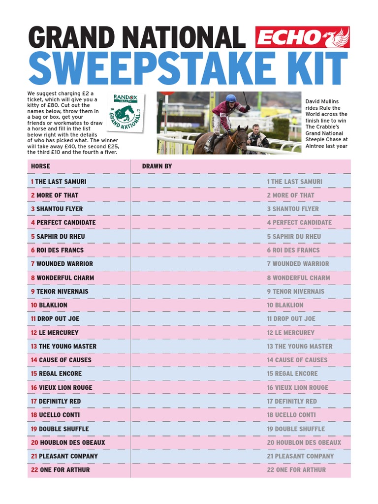 Grand National Sweepstake Kit 2017 PDF Horses Equestrian Sports