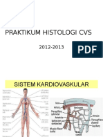 Ppt Histologi Cvs