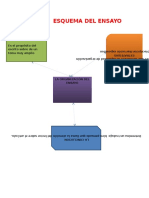 ESQUEMA DEL ENSAYO.CIELO Y LUZ.docx