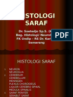 Histologi Saraf Revisi