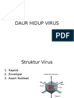 Daur Hidup Virus