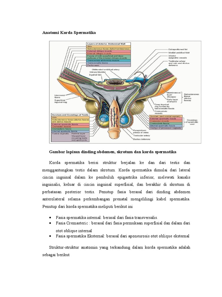 Porno mast uxlayotgan odamlar sikish