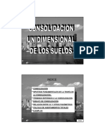 CONSULIDACION UNIDIMENCIONAL.pdf
