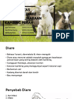 Analisis Diare Kambing (Presentasi)