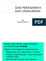 Jamur Dan Peranannya Terhadap Lingkungan